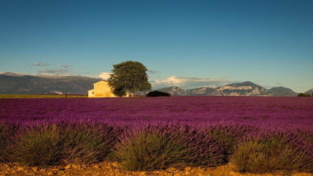 Provence-França-Foto Nature Photo Tour- Pixabay